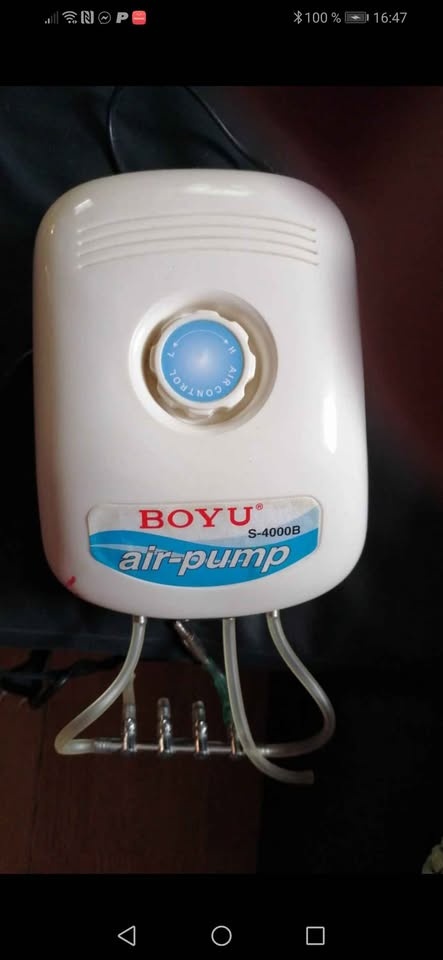 Prodám akvárium 450l - 4