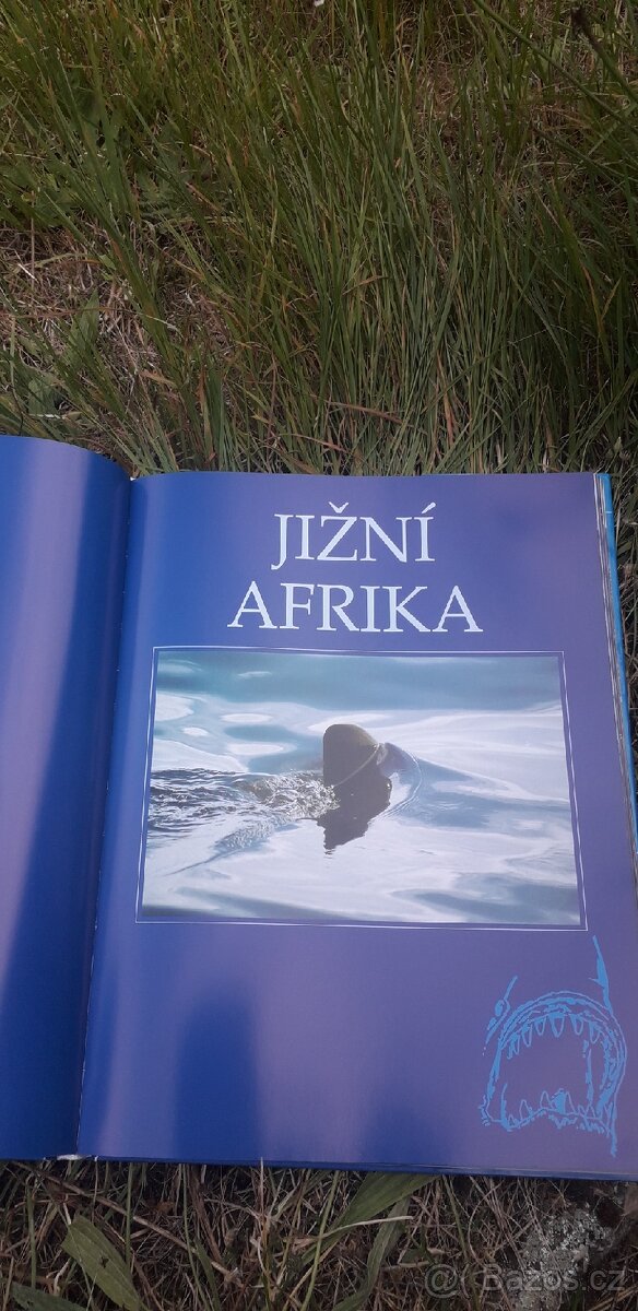Knížka - 4