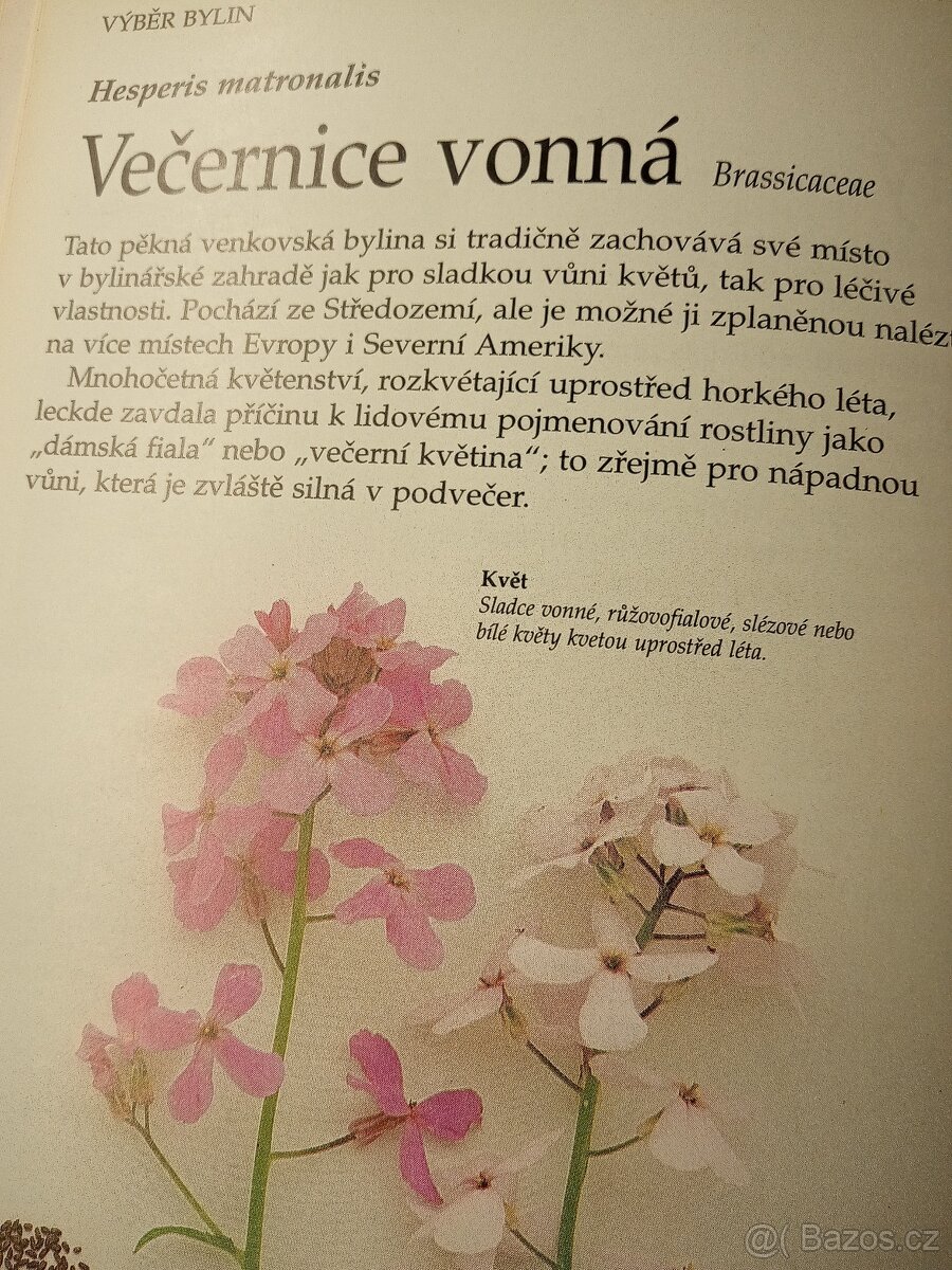 Bylinář - zdraví, krása a radost - L.Bremnessová - 4