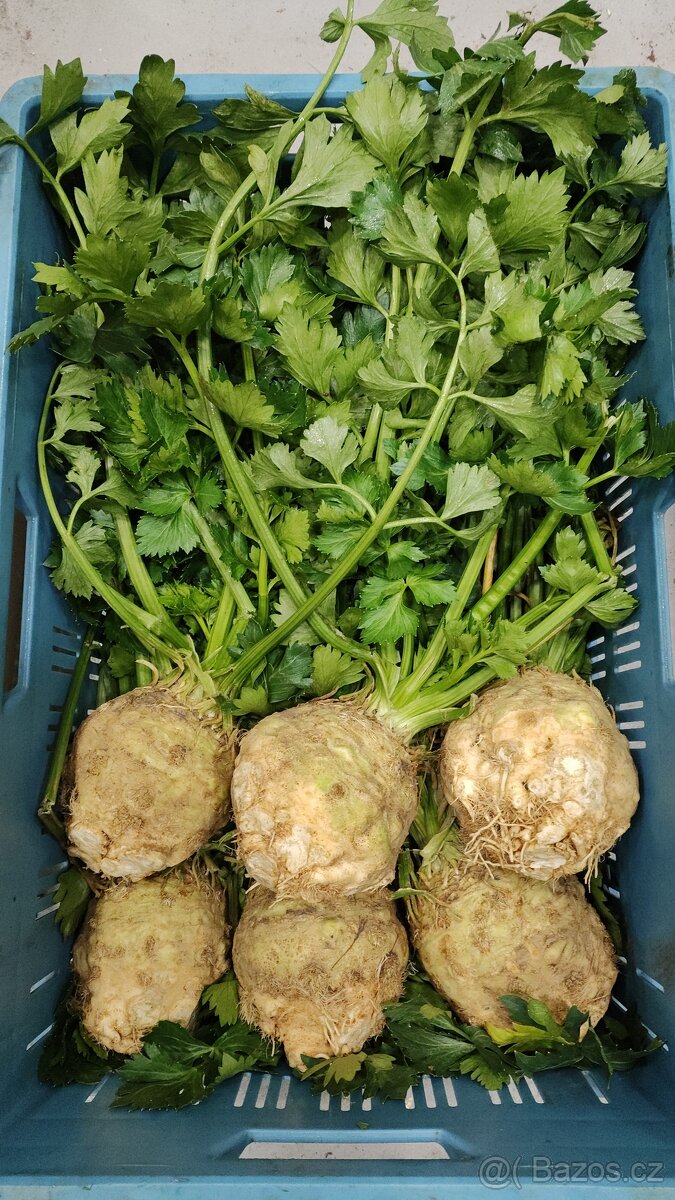 🌿 Farma24 – čerstvá zelenina přímo od farmářů 🌿 - 4