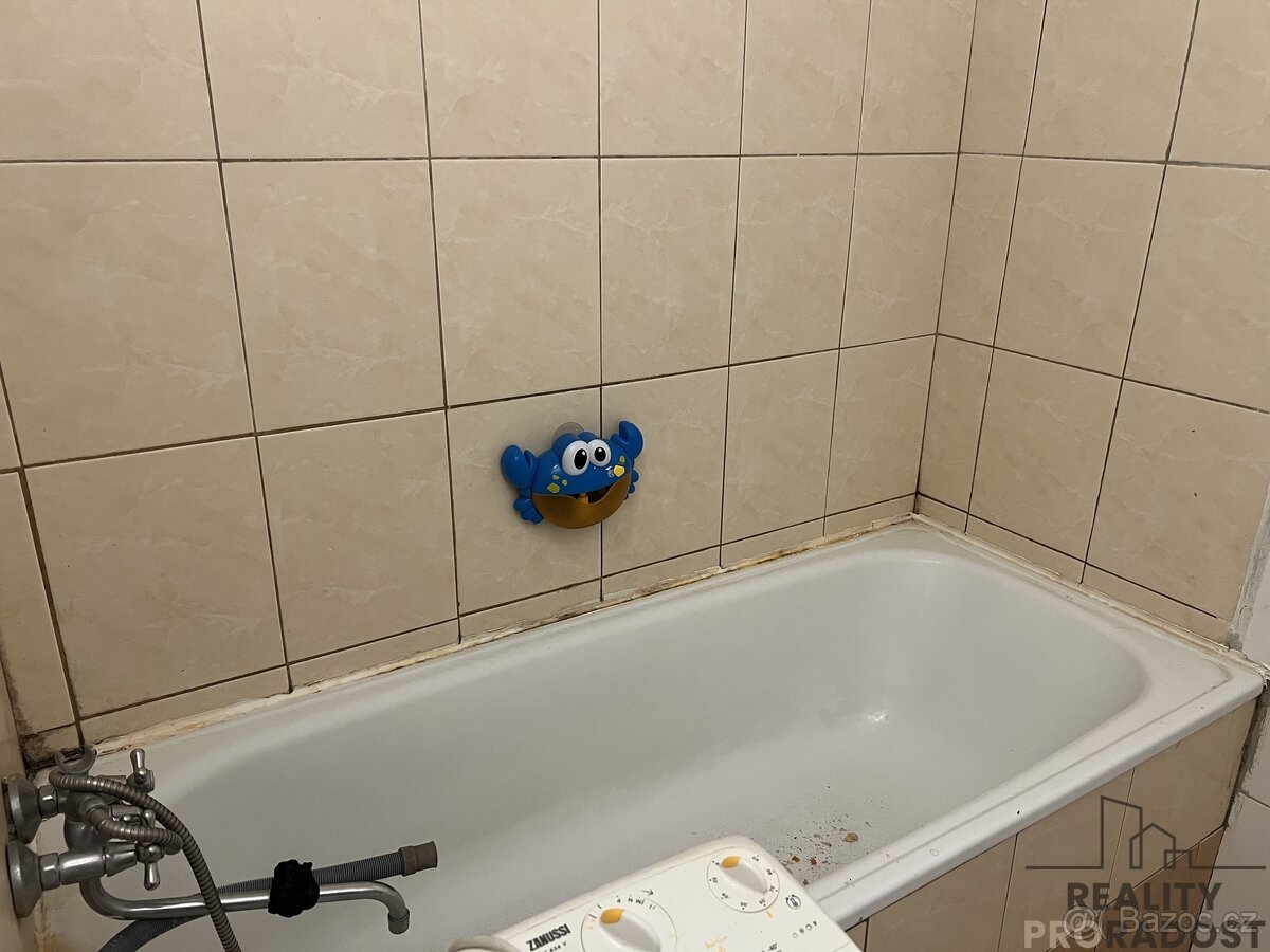 Prodej bytu 2+1 v Ústí nad Labem, byt 2+1 Mojžíř - 4