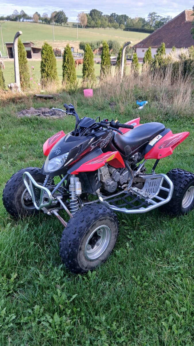 ARCTIC CAT 400 DVX - 4