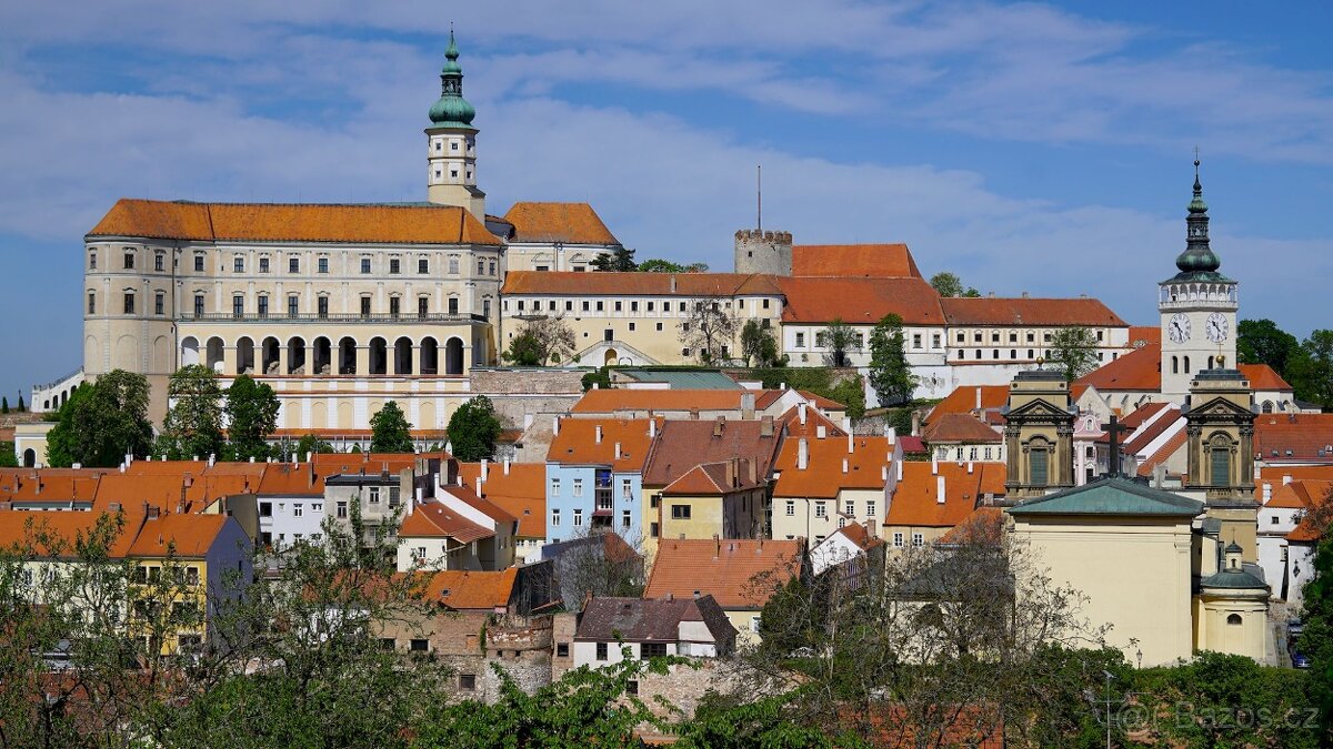 Servisovaný Carl Zeiss Makro Planar 60mm f2.8 CO/Y (Kyocera) - 4