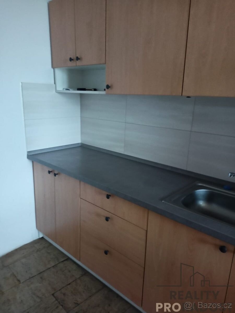 Pronájem bytu 1+kk 117m2 - Veselice - Vavřinec - 4