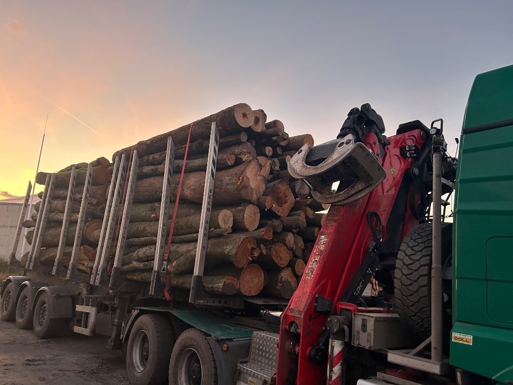 Palivové dřevo - kamion - 4
