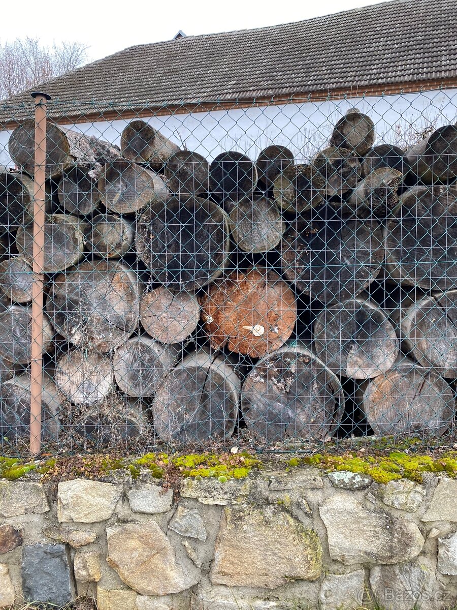 Palivové dřevo - 4