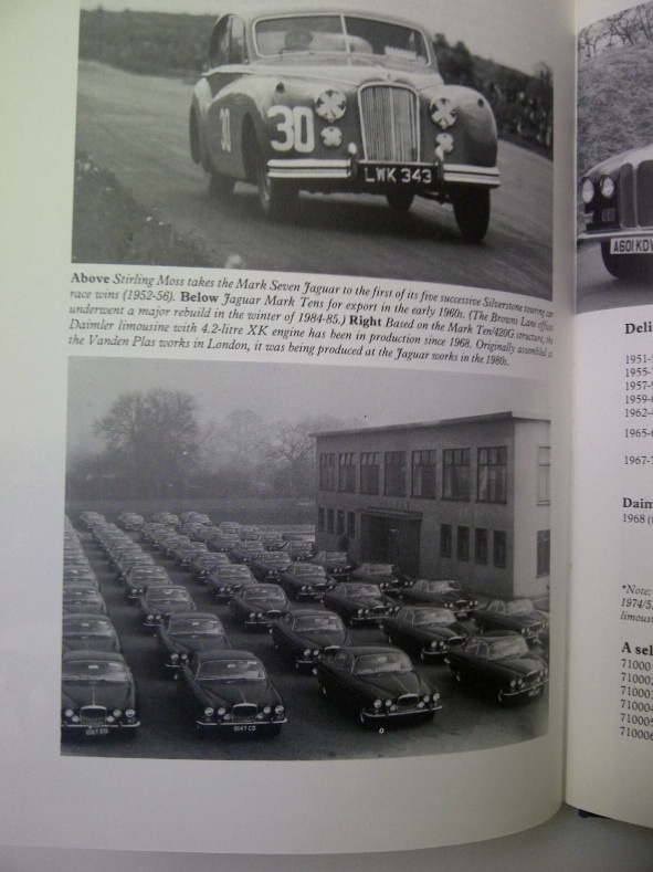 Jaguar - Andrew Whyte - 4