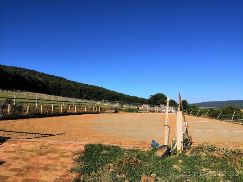 Venkovní ustájení - 4