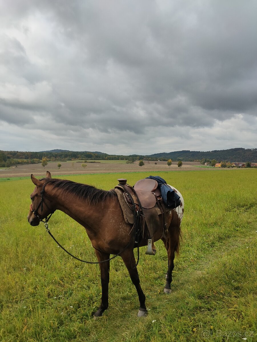Pastevko Broumy - 15min od Berouna - 4