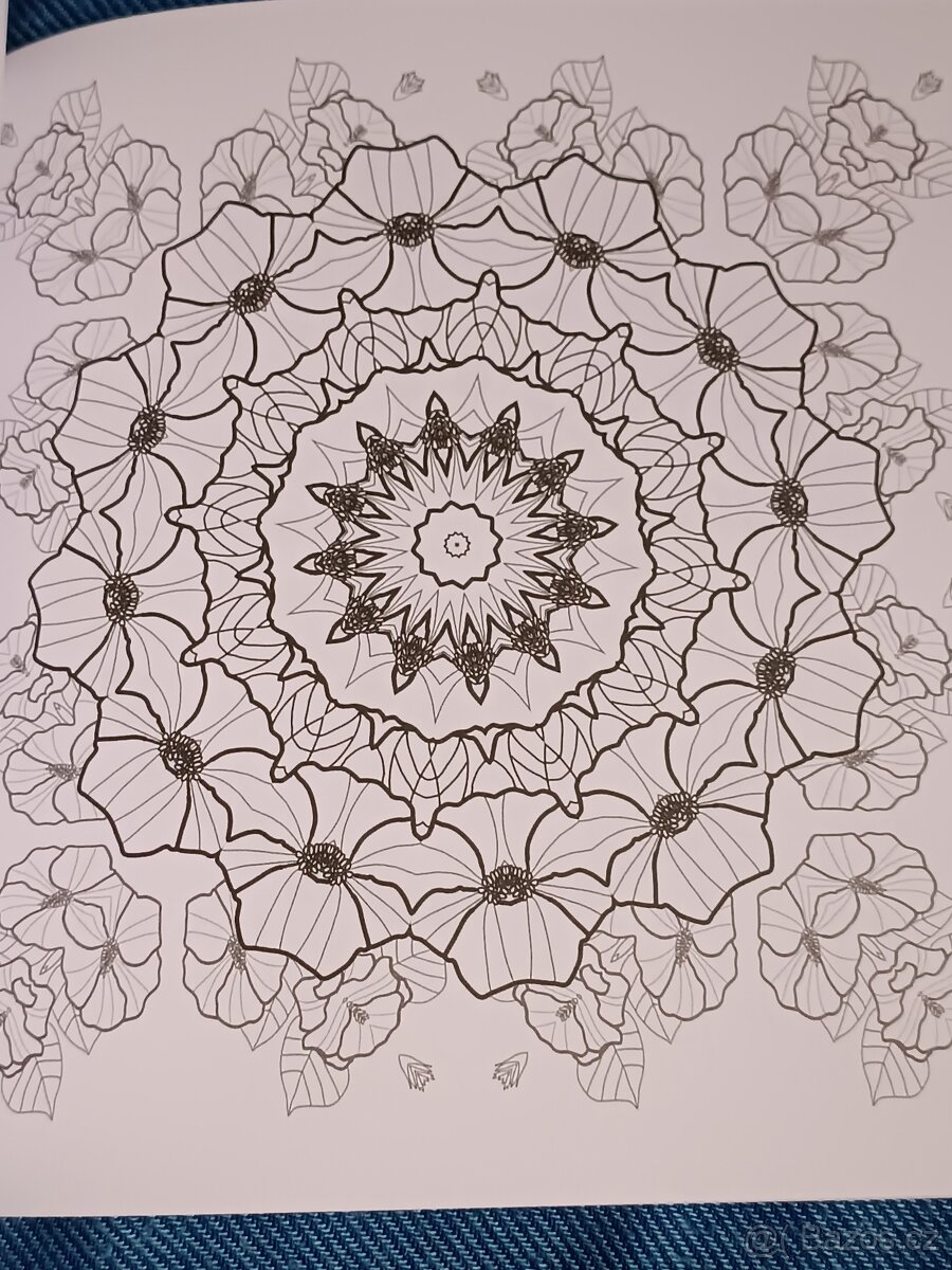 Omalovánky pro dospělé: Inspirativní a ............. - 4