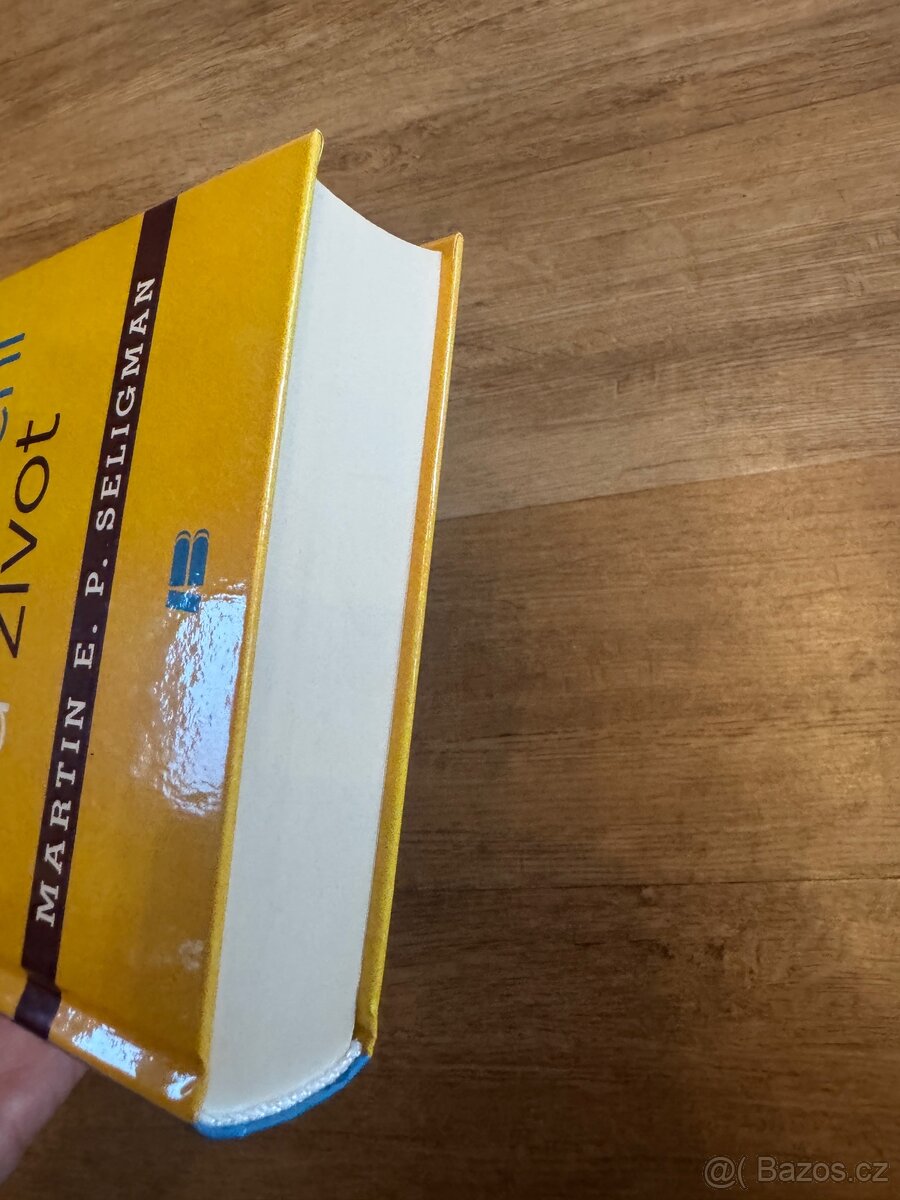 Naučený optimismus, Martin E.P. Seligman - 4