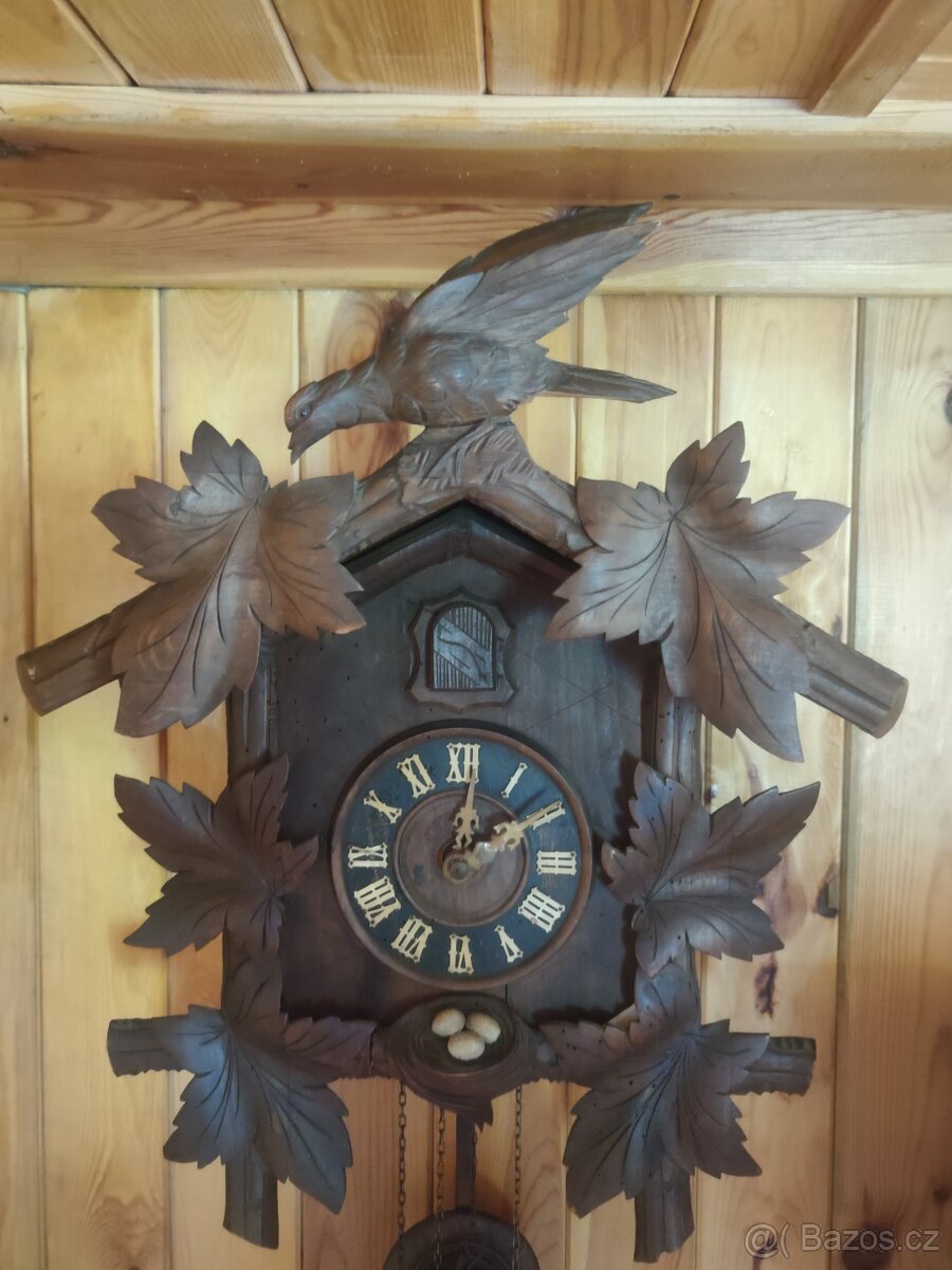 České kukačky - 4