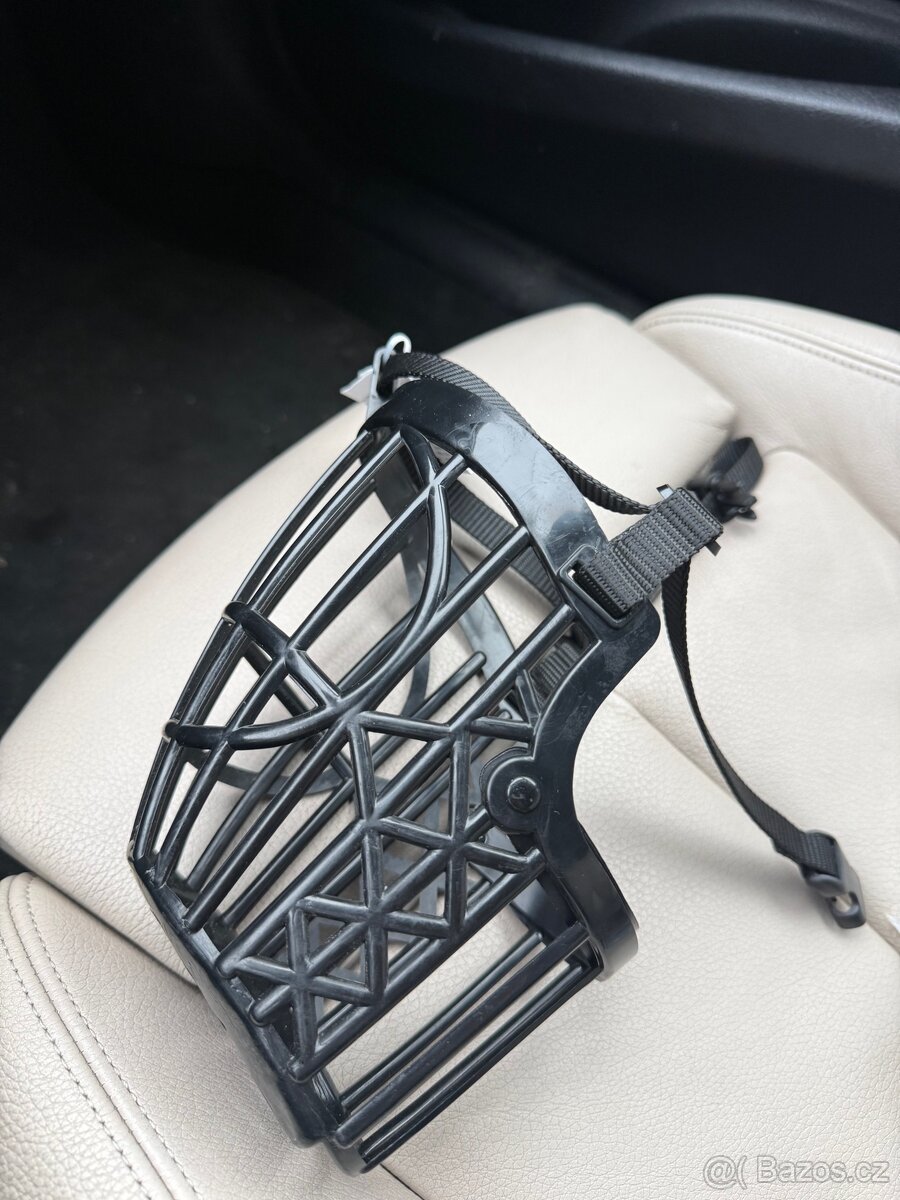 Americké stafford - 4