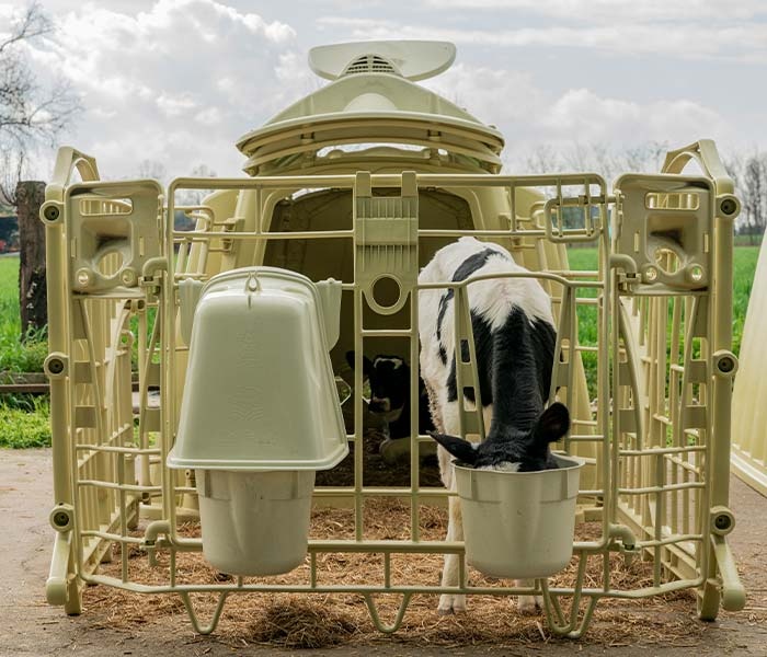 Boudy pro telata Calfella - 4