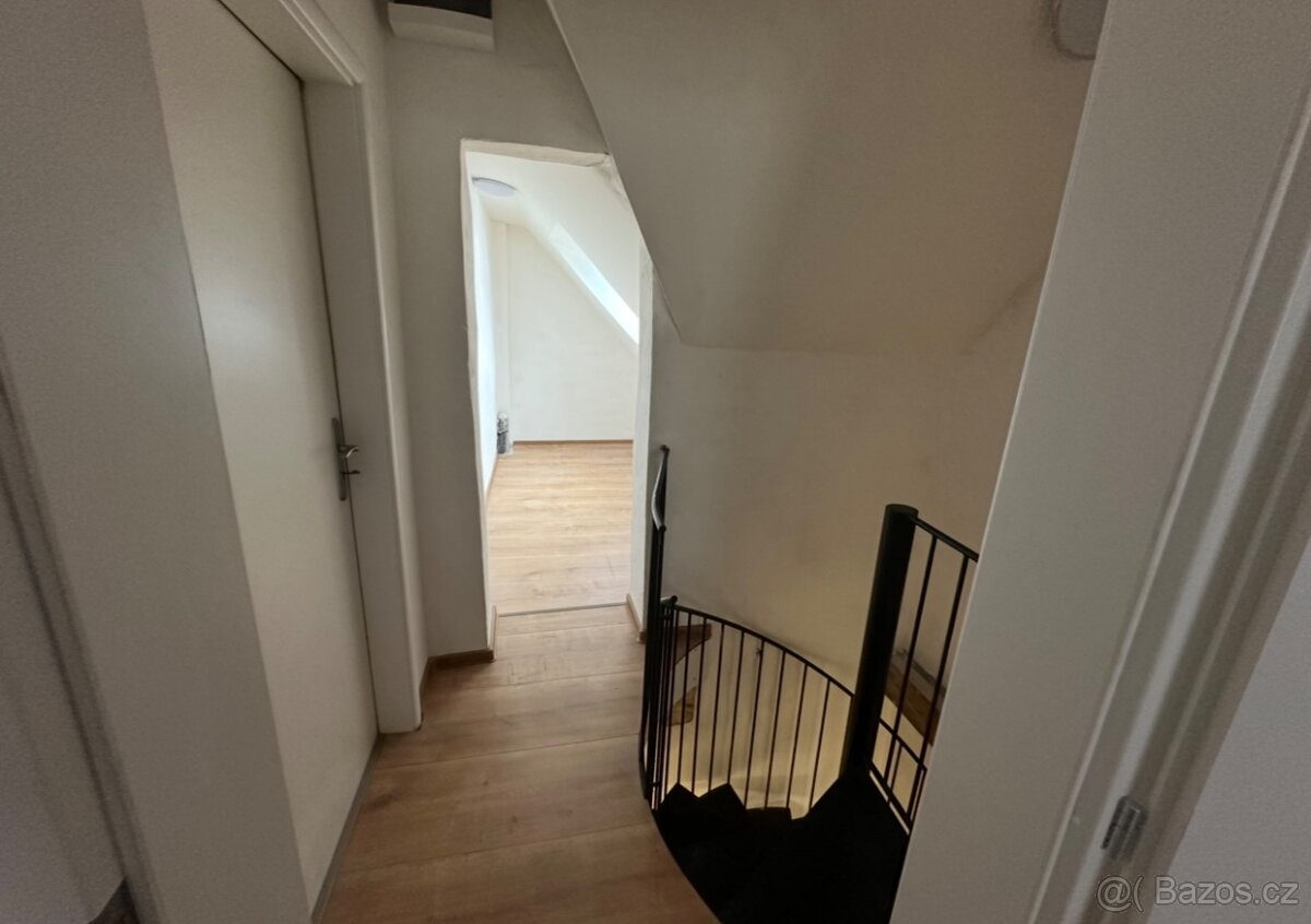Pronájem rodinného domu - 4