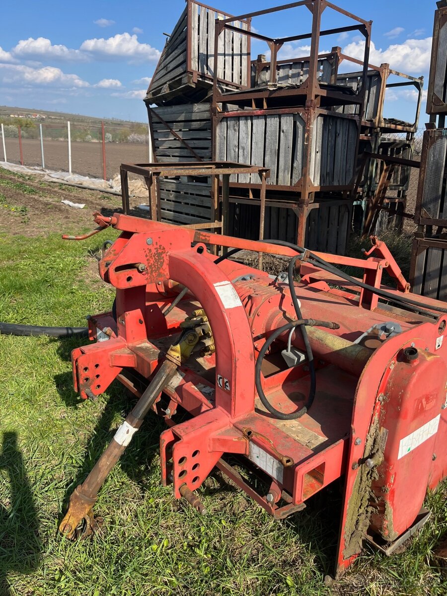 Maschio super AF - 4