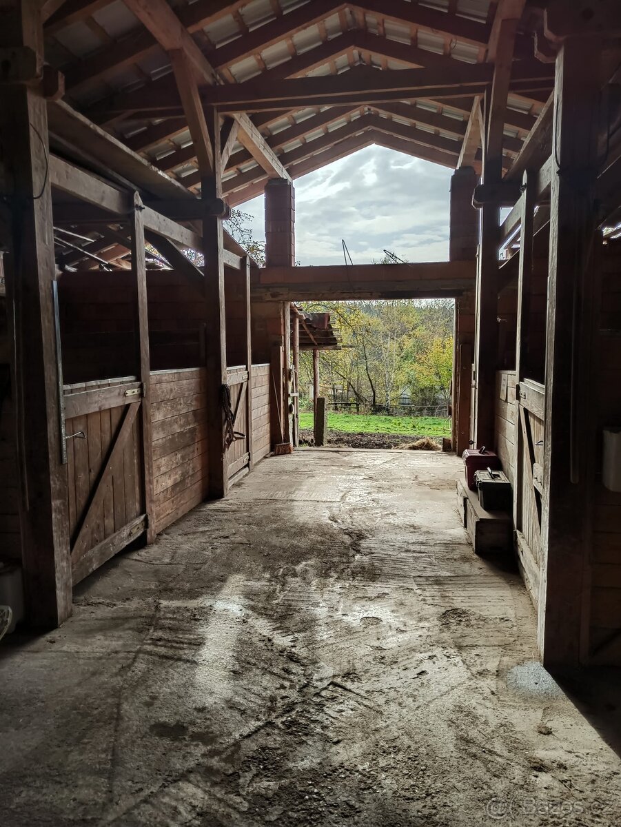 Pastevní ustájení na ranči Mítov - 4