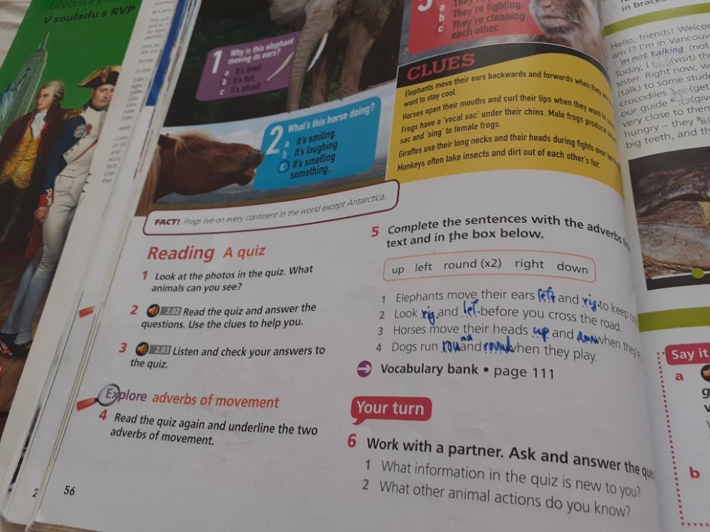 Eyes open 1 student´s book + workbook - 4