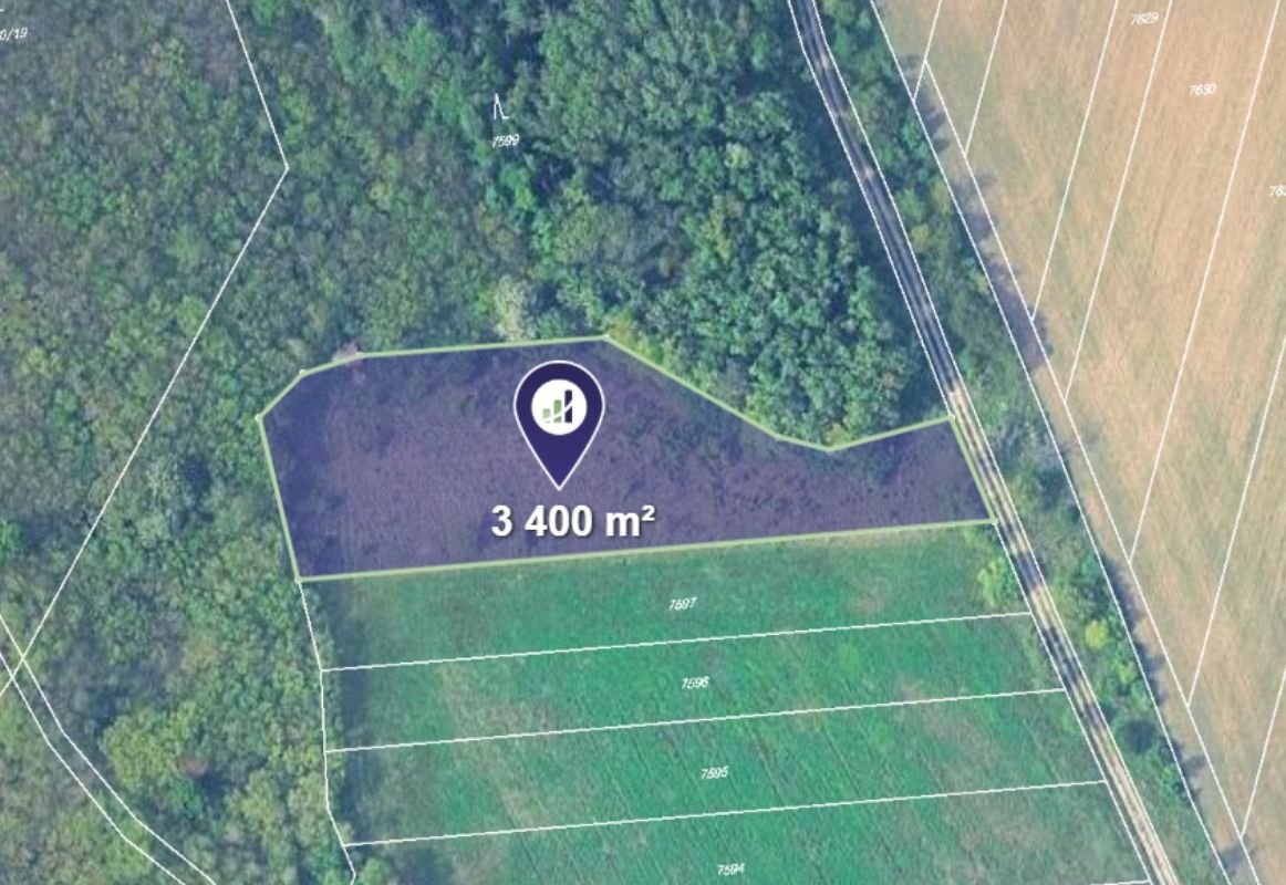 Prodej podílu 1/2 lesa 9 147 m², Ořechov - 4