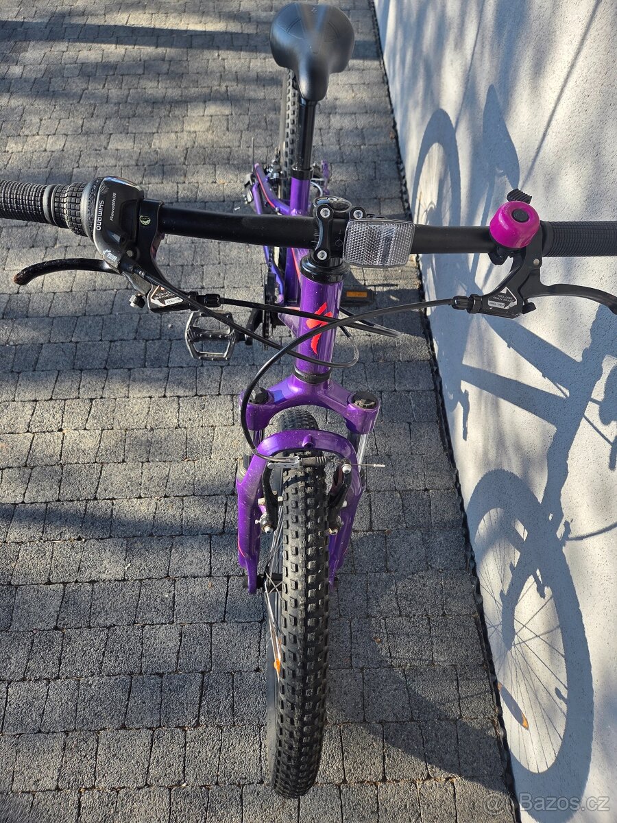 Specialized Hotrock 20 - 4