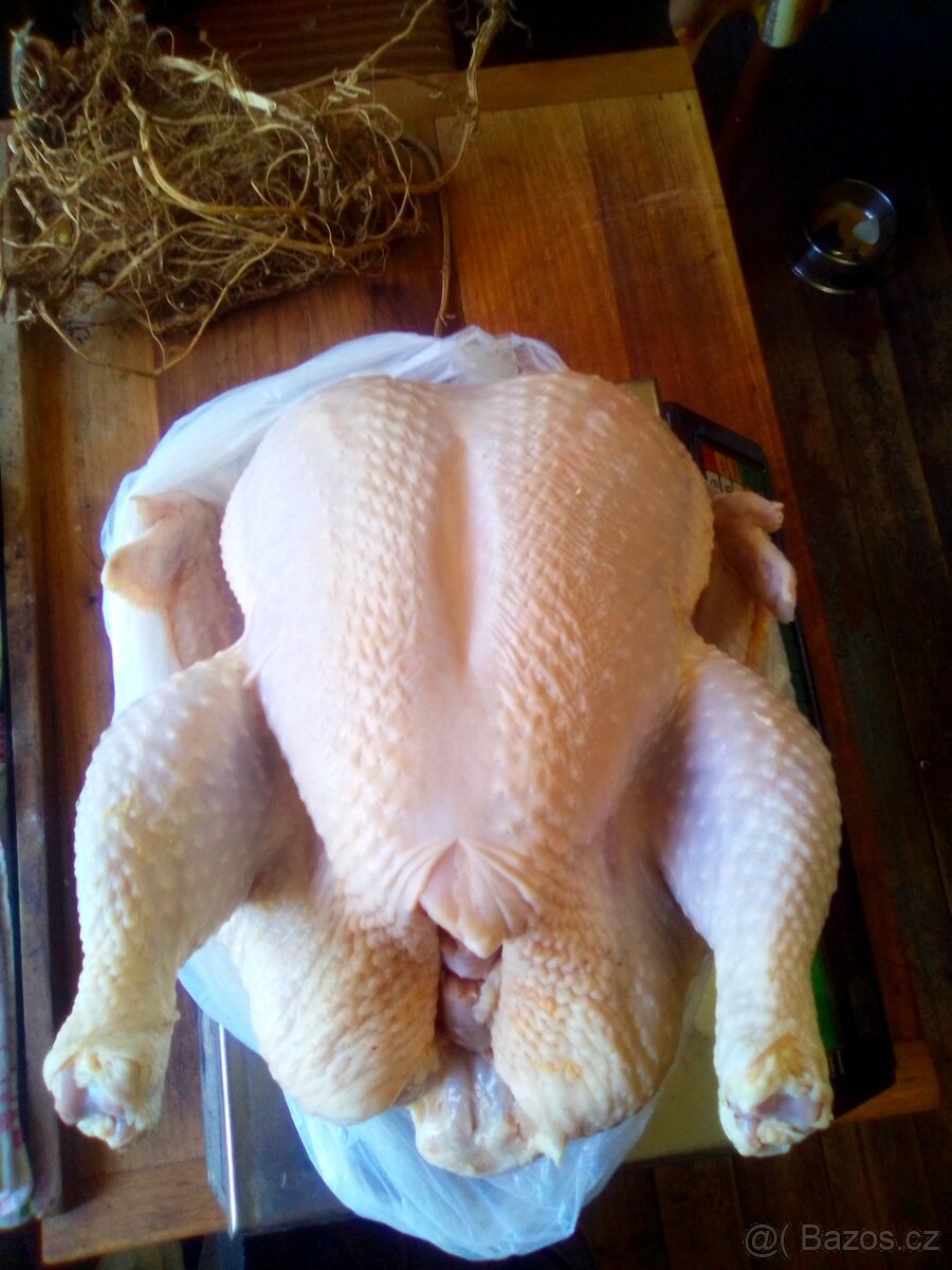 Domácí vykrmená kuřata-výkrm 120 dnů a více, lahodné maso. - 4