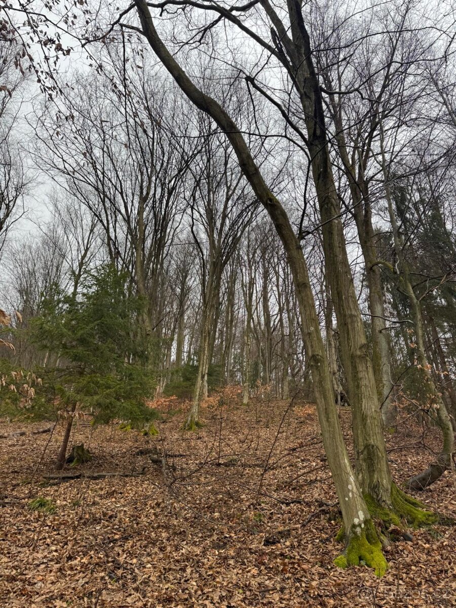 Prodej pozemků k.ú. Huslenky (2) - 4