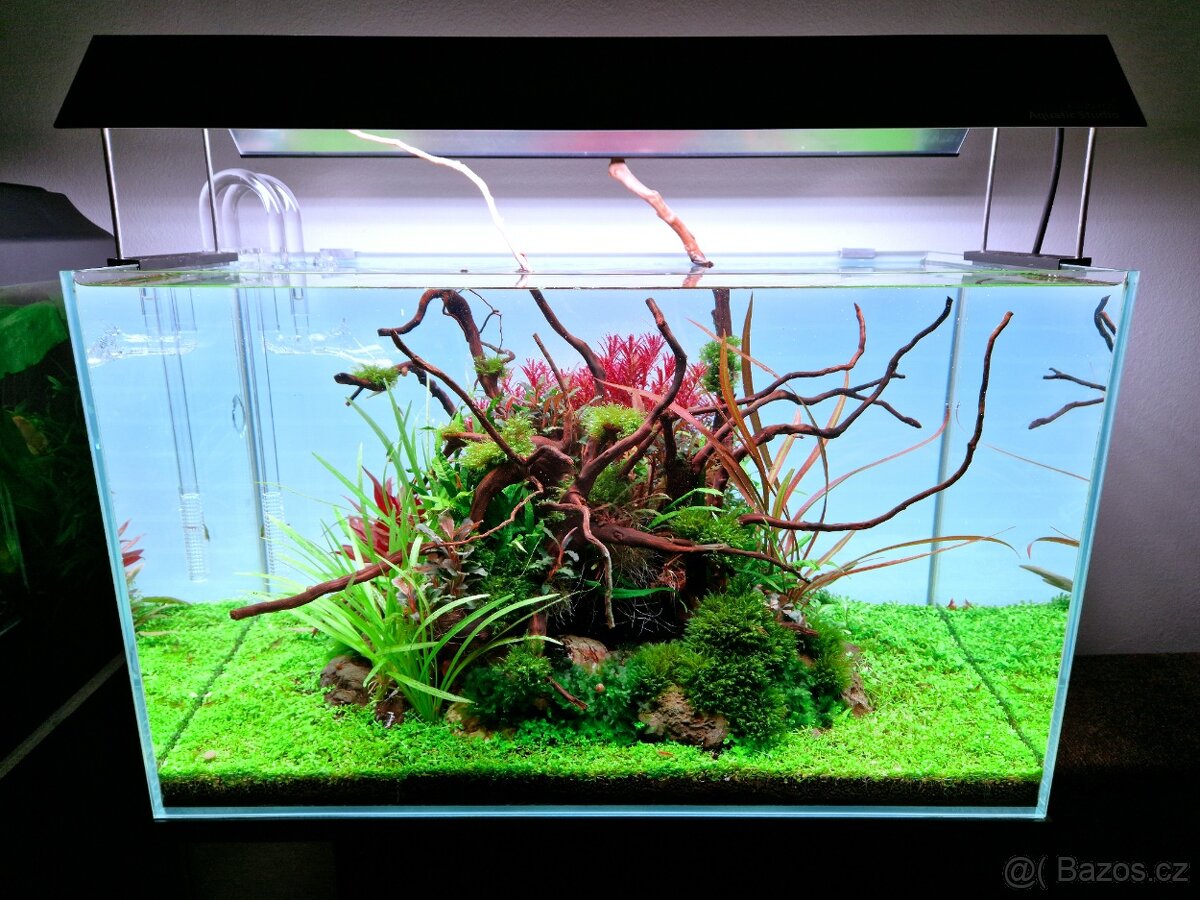Realizace, revitalizace a údržba sladkovodních akvárií - 4