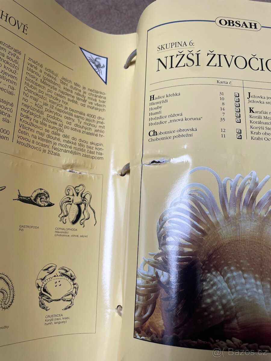 Encyklopedie zvířat - 4
