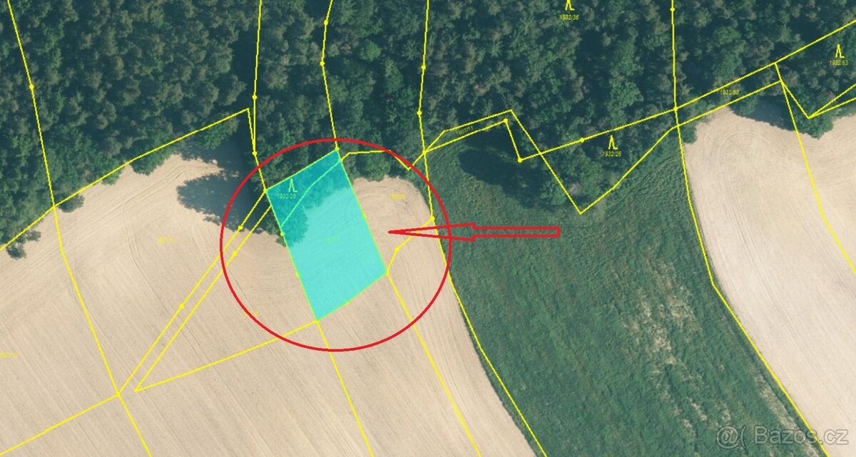 Prodám pozemky v k.ú. Žichlice u Hromnic - 4