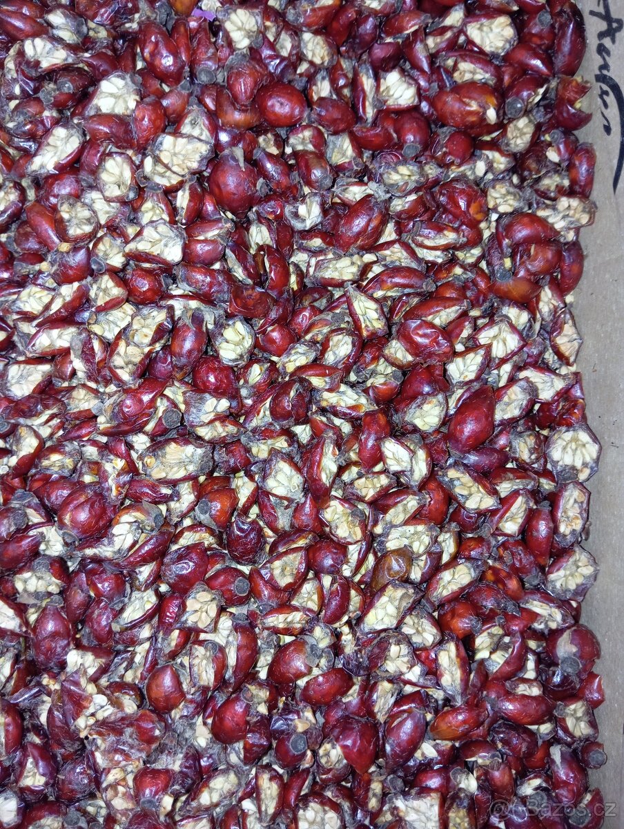 Kvalitní Sušené půlené šípky 🌹 - 4