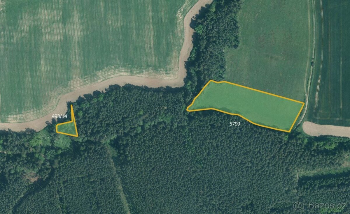 Zemědělská půda, prodej, Písecká Smoleč, Slabčice, Písek - 4