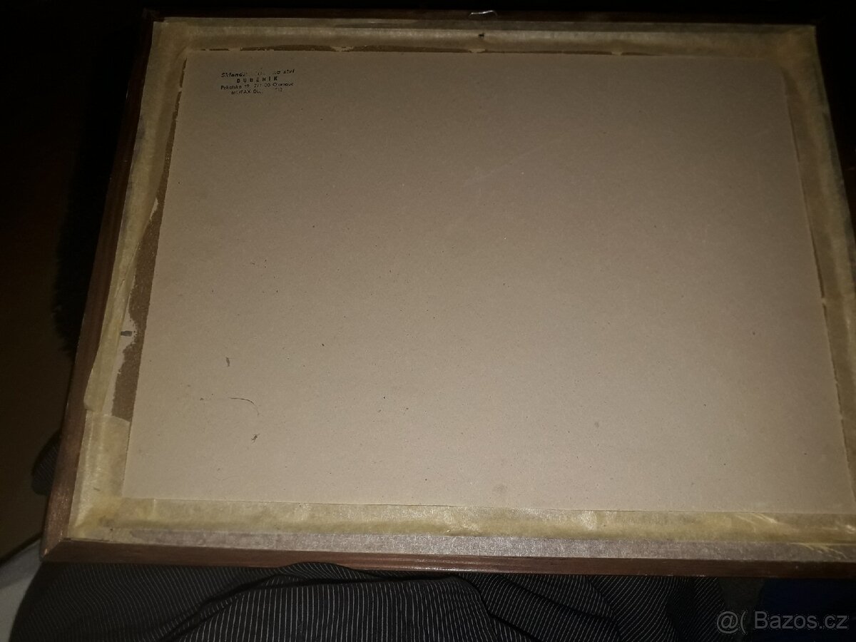 Obraz motiv olomouc - 4