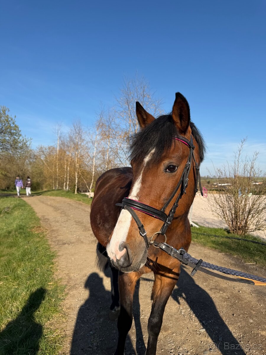 pony klisna - 4