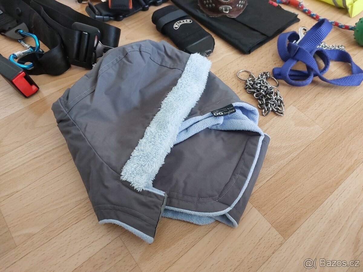 Výbava pro menšího psa (např. pro vipeta) za jednu cenu - 4