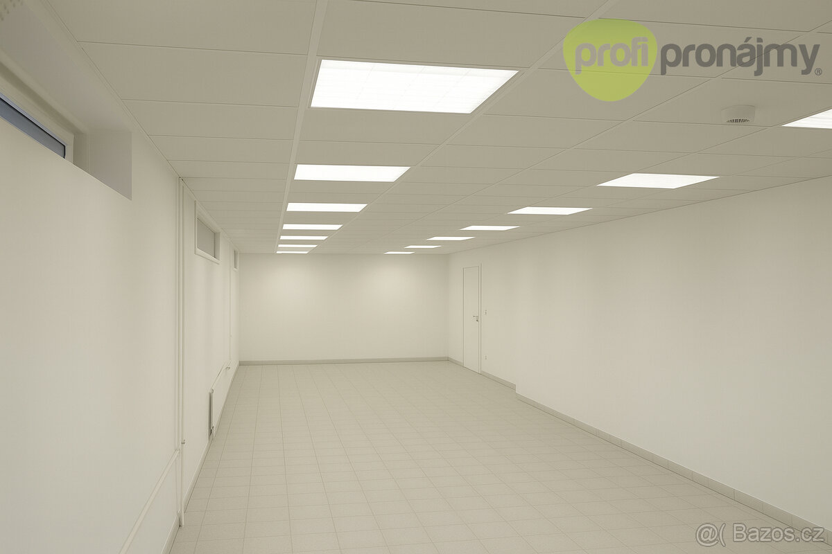 Pronájem přízemních skladových/prodejních prostor – 460 m² - 4