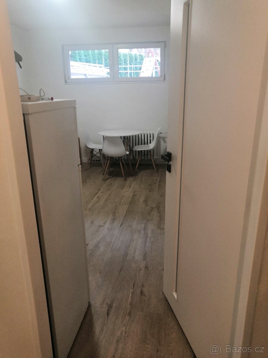 Pronájem bytu 1kk vše v ceně - 4