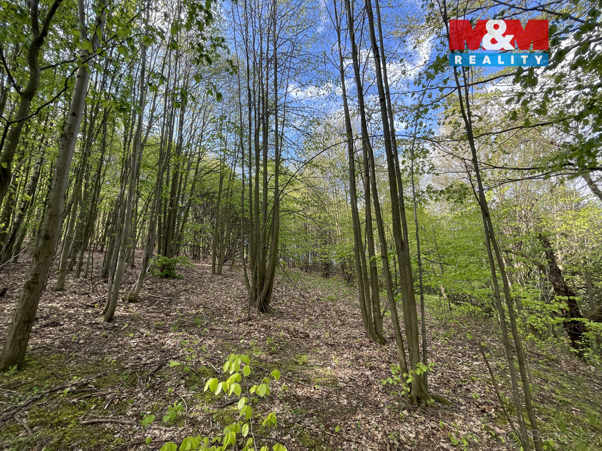 Prodej zahrady, 2545 m², Chrastava, Andělská Hora - 4