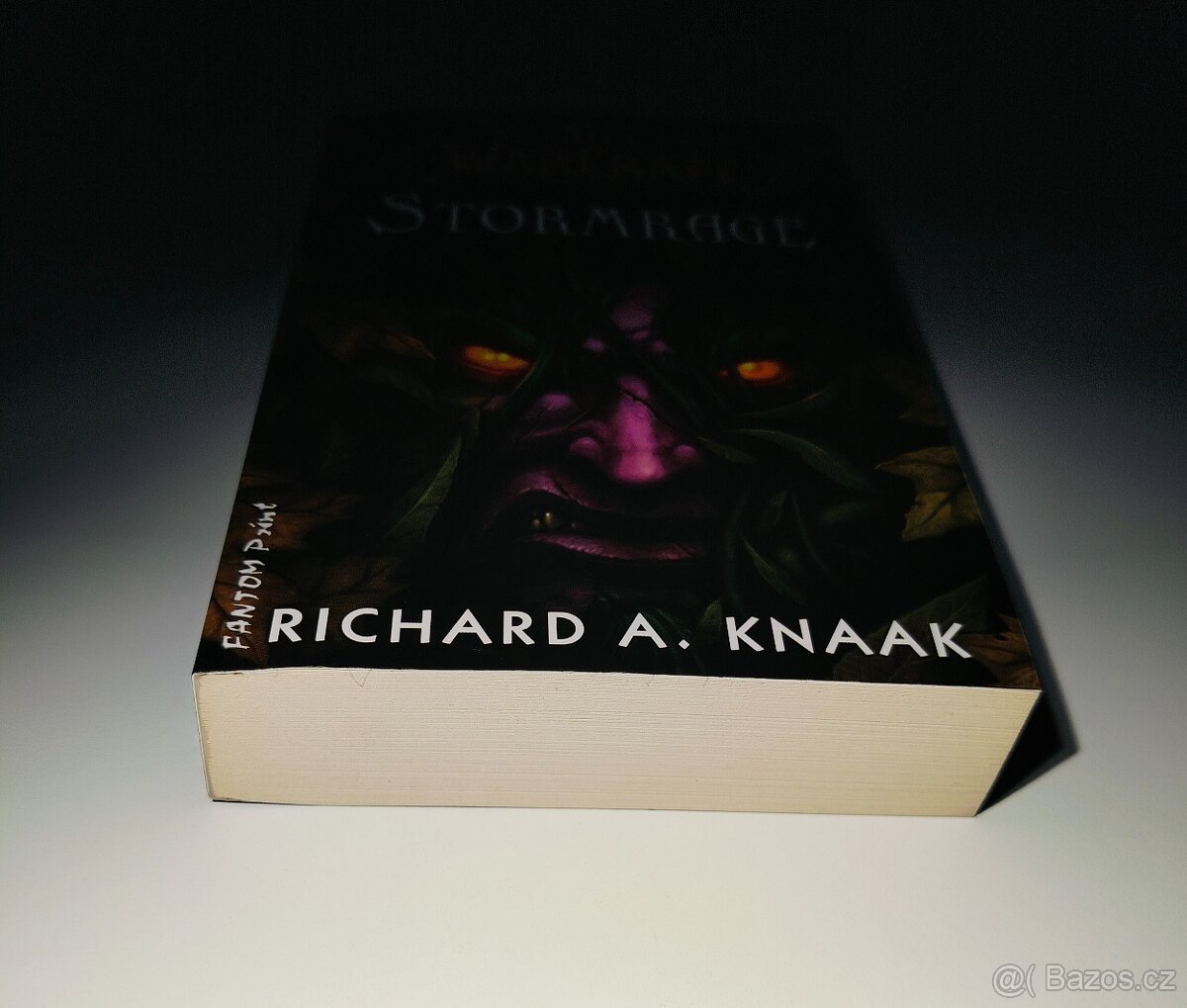 Kniha Warcraft Stormrage - 4