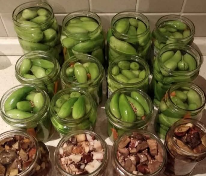 Semena ačokči - ačokča paprikookurka - 4