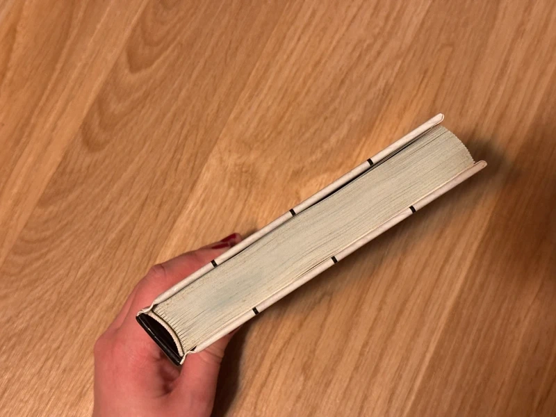 Kniha Sýry Druhy a recepty - 4