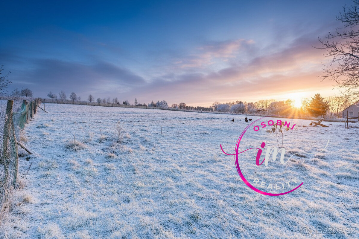 Prodej stavebního pozemku 2651 m2 s příjezdovou cestou 159 m - 4