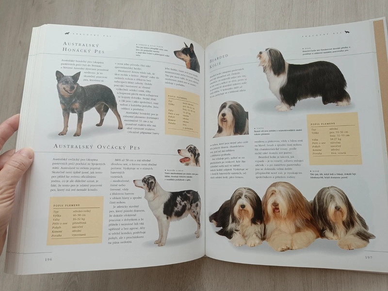 Pes a péče o něj - 4