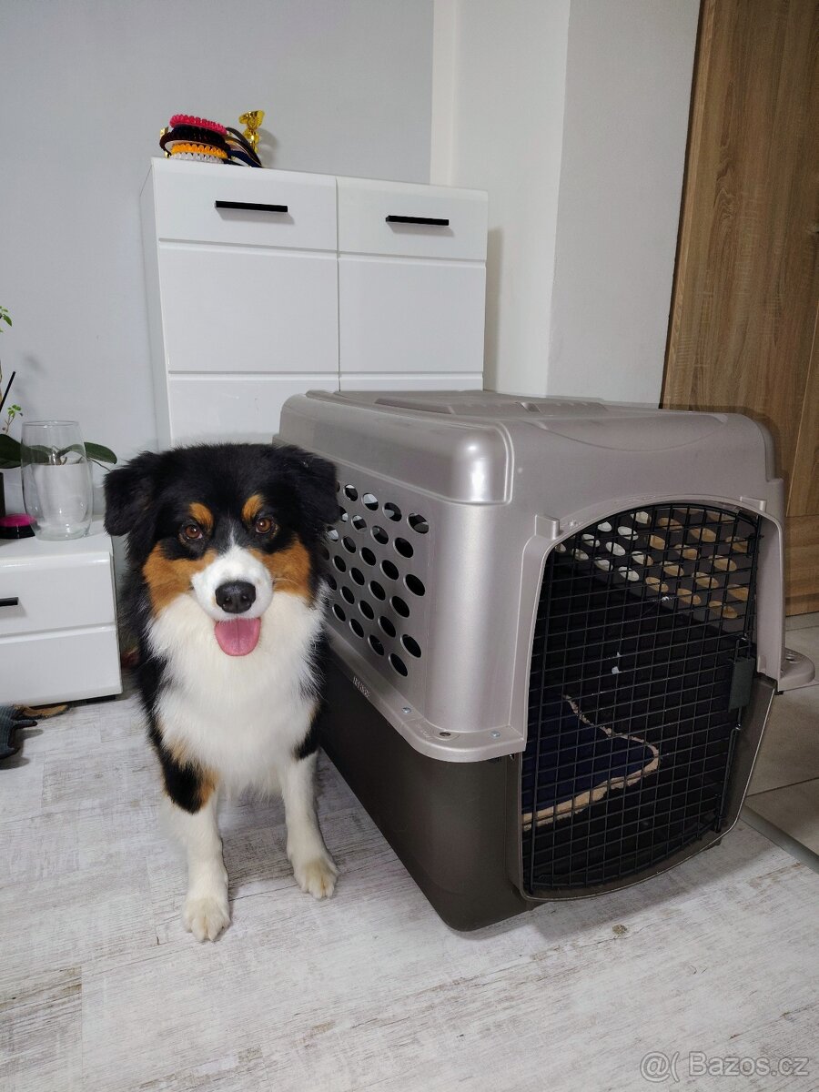 Plastová přepravka pro psy do letadla L - 4