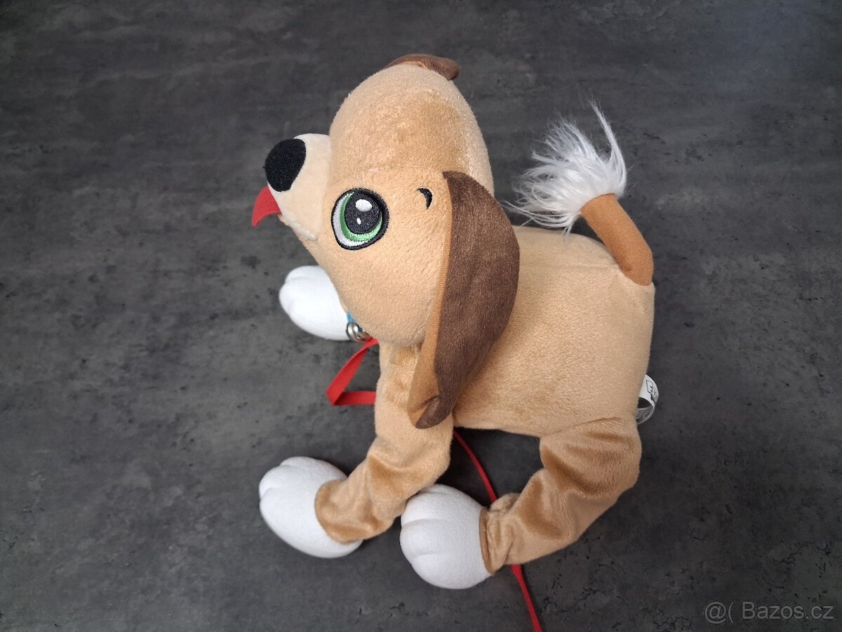 Pejsek Floppy - 4
