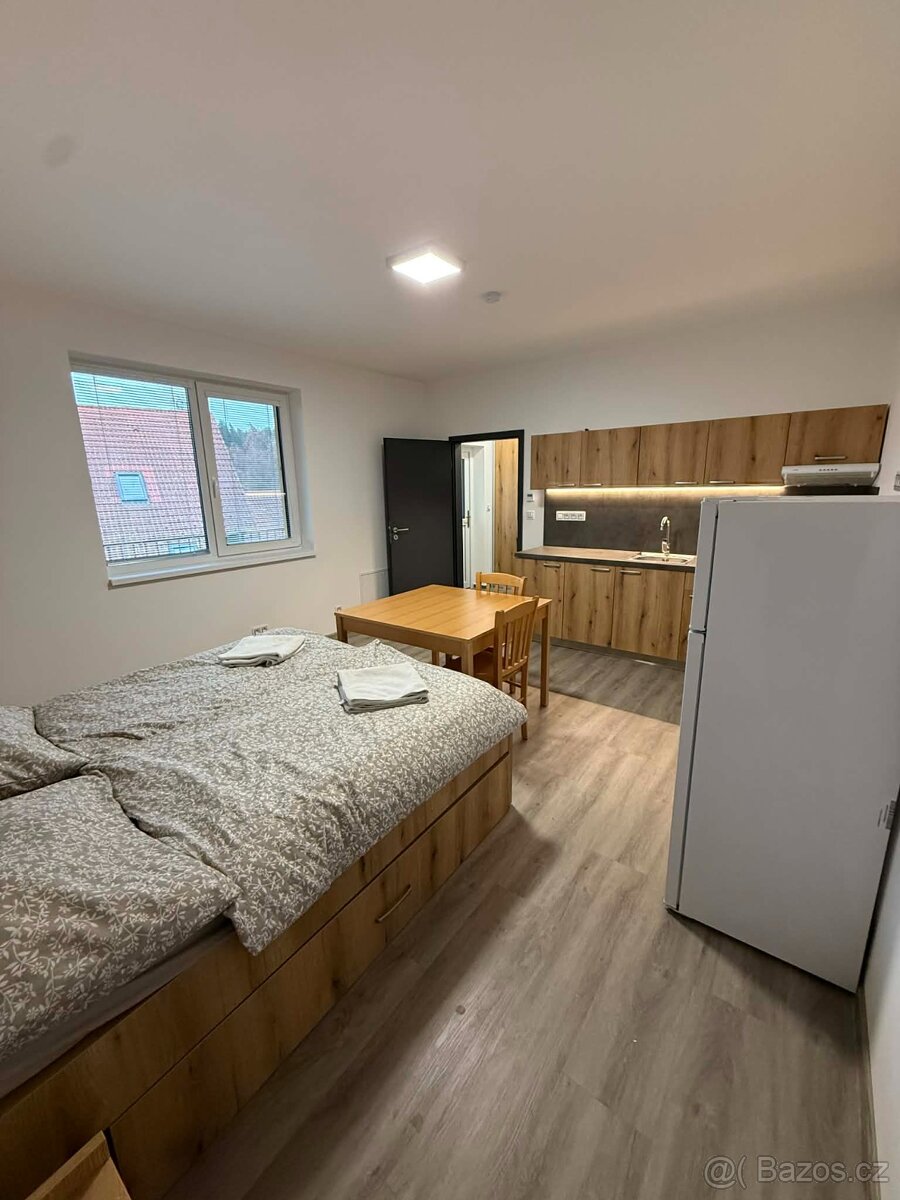 Byt k pronájmu - Roudná - 4