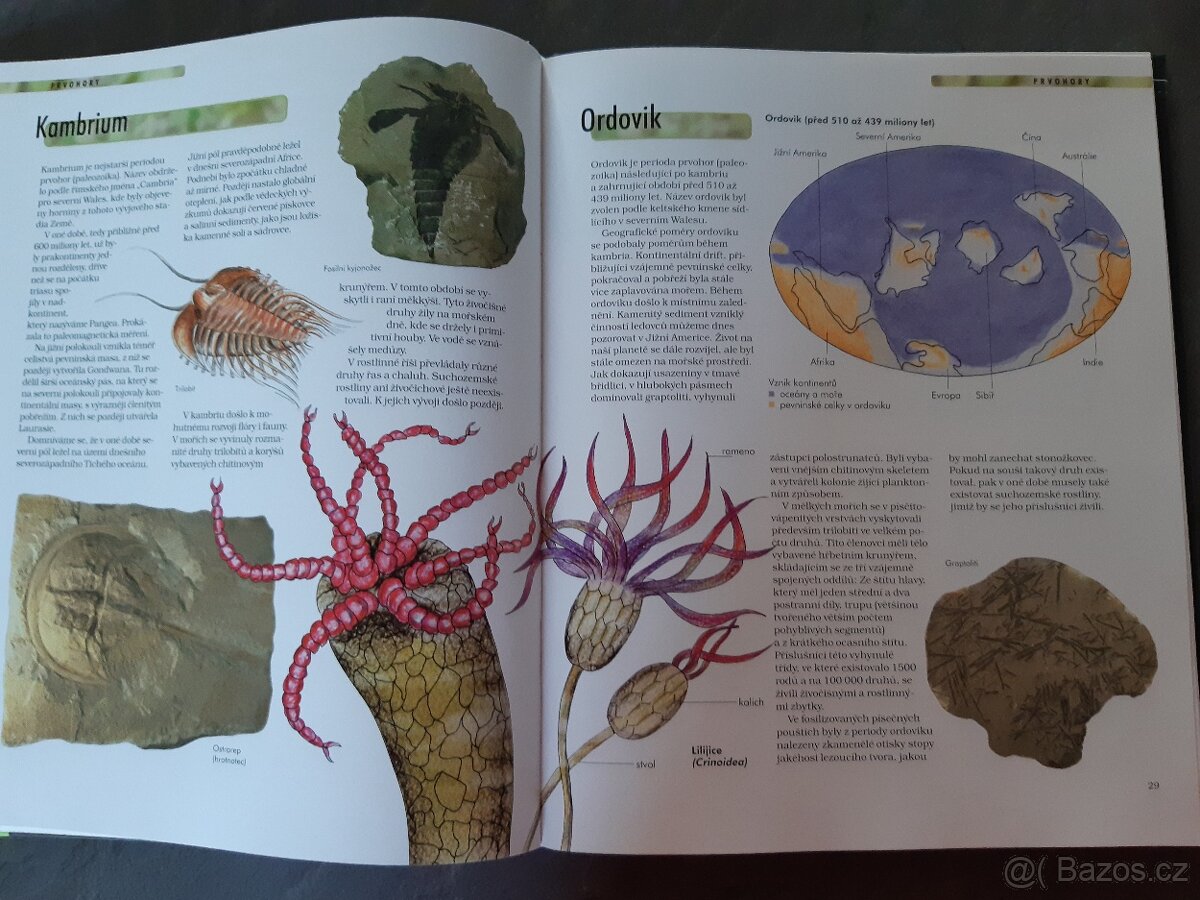 Dinosauři NOVÁ - 4