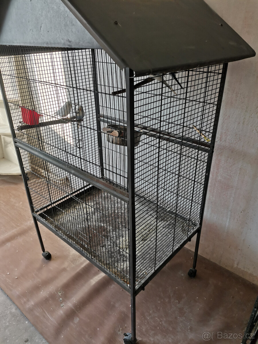 Korely + voliera - 4