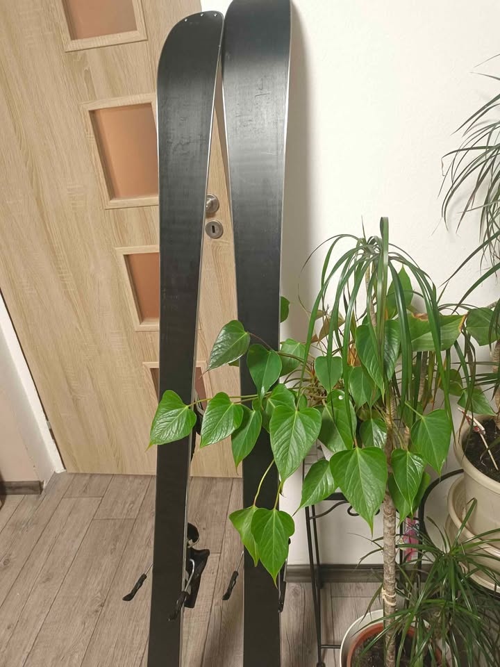 lyže Aspen Indian 157 - 4