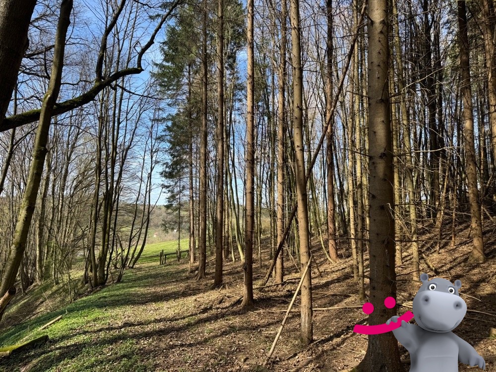 Prodej louky 40 558 m², Podkopná Lhota, ev.č. 58704 - 4