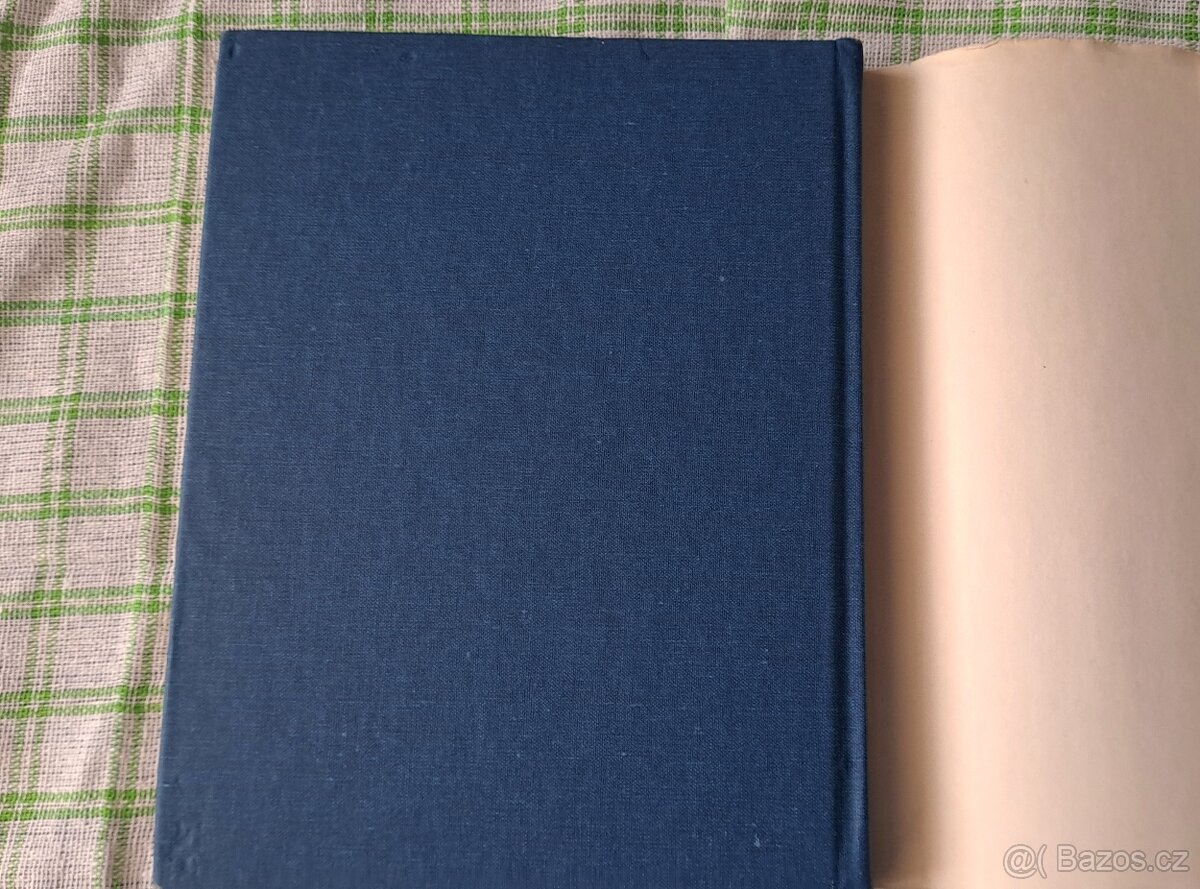 Kniha Záludná luna - P. Verlaine - 4